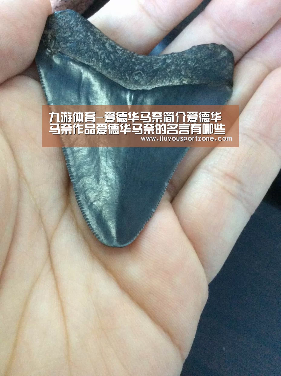 九游体育-爱德华马奈简介爱德华马奈作品爱德华马奈的名言有哪些?(图3) 九游体育官网