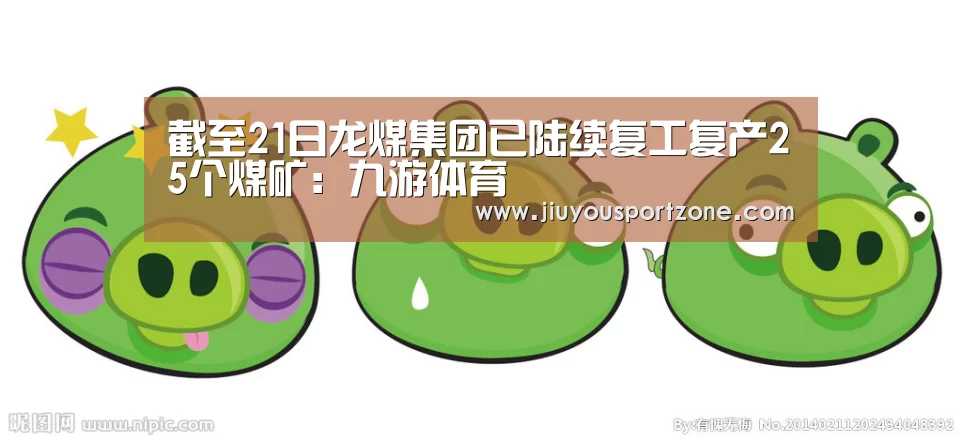 截至21日龙煤集团已陆续复工复产25个煤矿:九游体育